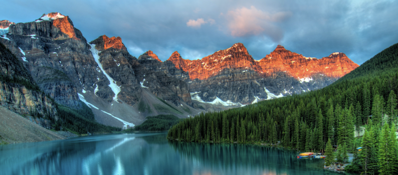 The Reason for WHY....